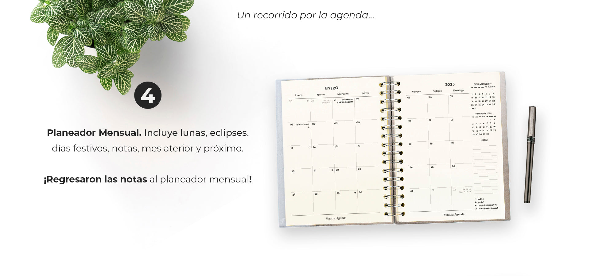 slider image slider_item_WKRYJd